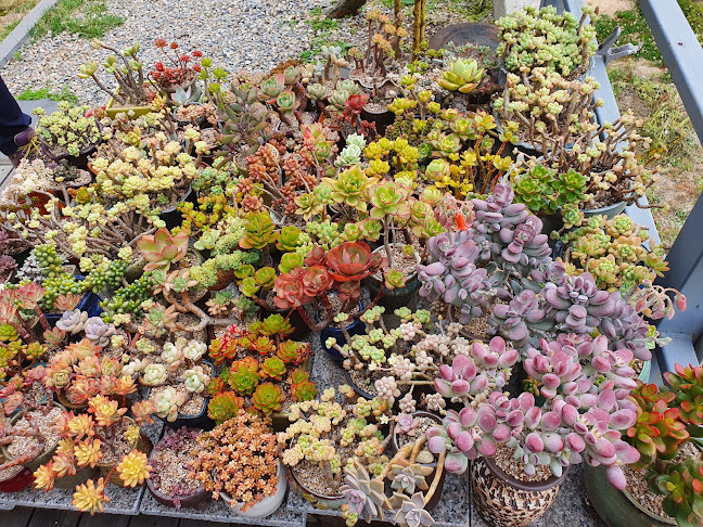 Opinii despre 피렌체로스터리카페 în 춘천시 - 외식업