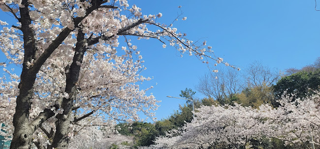 카페버닝 - 목포시