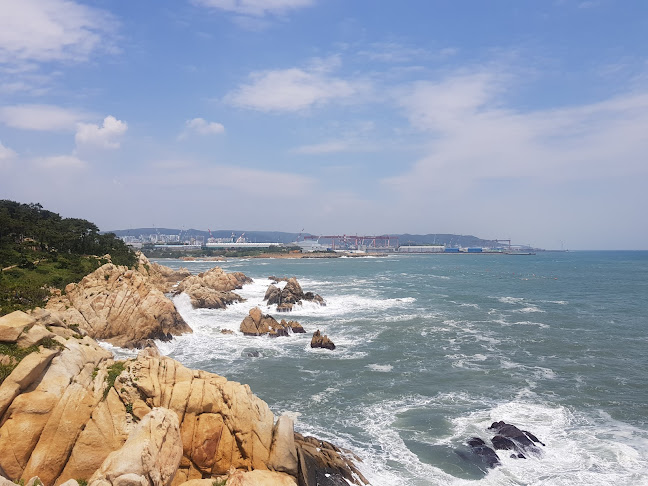 Comentarii opinii despre 피자마루