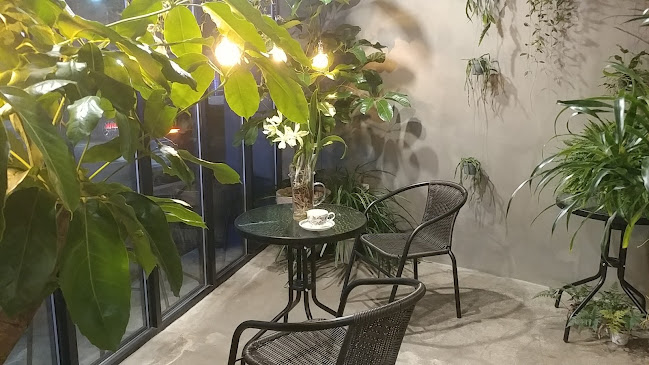 뜰정커피 - 속초시