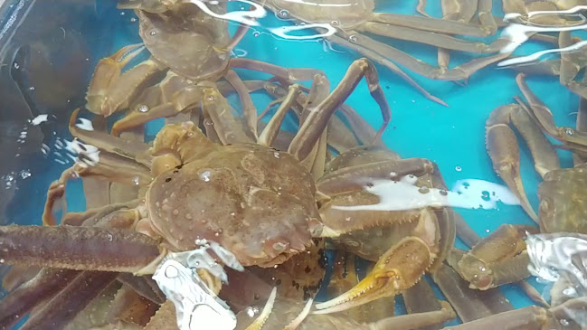 Comentarii opinii despre 영천회식당