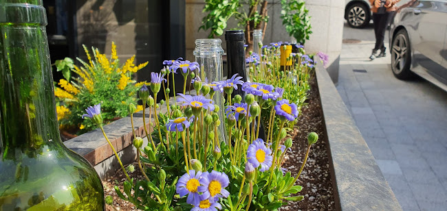 DNU coffee - 외식업