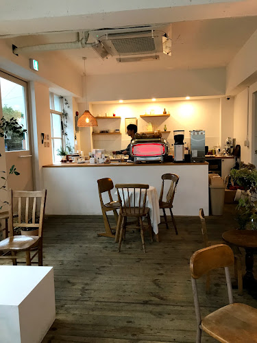 노브일리 - 강릉시