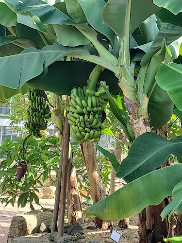 한소끔 - 목포시