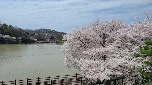 엔제리너스 진주금호못점 - 외식업