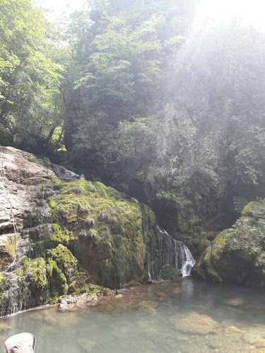 중부청과시장 - 외식업