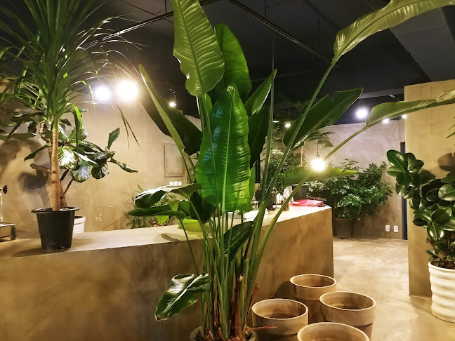 뜰정커피 - 속초시