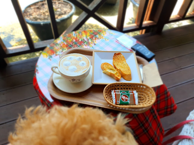 커피나무 - 외식업