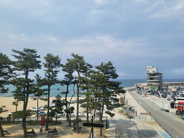 카페베네 강릉안목항점 Caffe Bene - 외식업