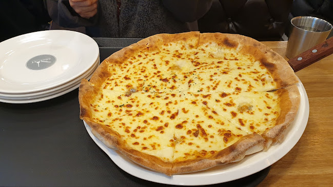 고집 돈까스 양주직영점 - 양주시