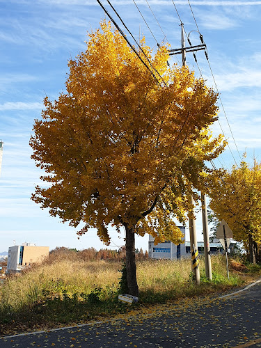 Comentarii opinii despre 까페마실