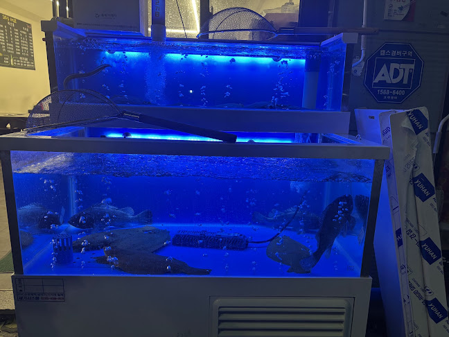 회부심 (Korean style raw fish)