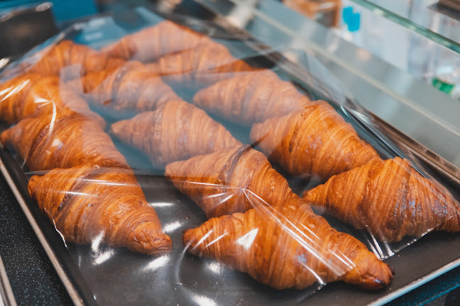 Comentarii opinii despre 칼리오페