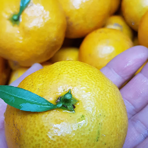 Opinii despre 콩카페 în 김포시 - 외식업