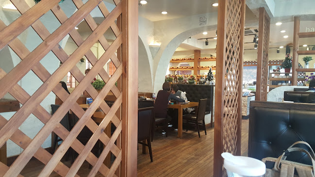 샤브홀리 - 고양시