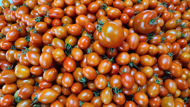 팜유팸 (미리벌팜) - 밀양시