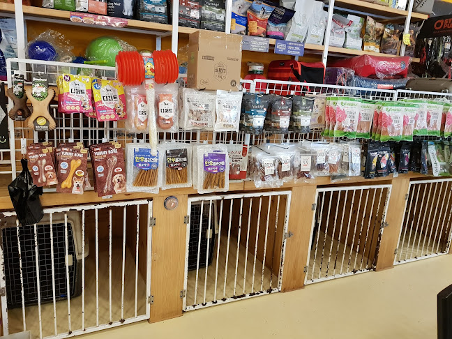 Opinii despre 딩고 în 수원시 - 외식업