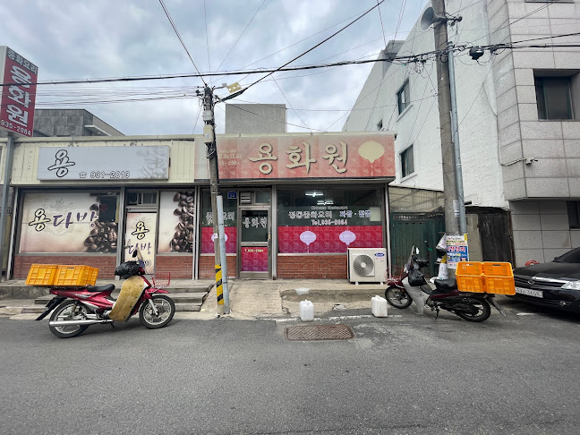 용화원 - 외식업