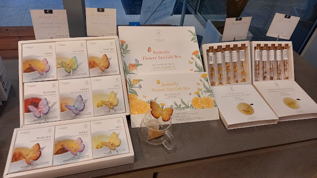 인헤르또 Injerto - 목포시