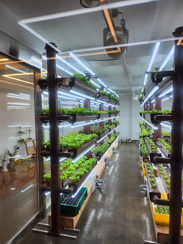 Opinii despre 살라트&올되다 în 진주시 - 외식업