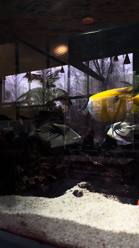 경기도 수원시 영통구 청명로21번길 19