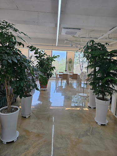 카페 엘랑 - 원주시