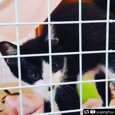 cafe now here - 외식업