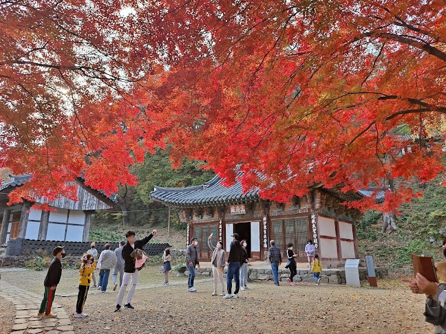 충청남도 당진시 읍내동 295-1번지 골드프라자 204호