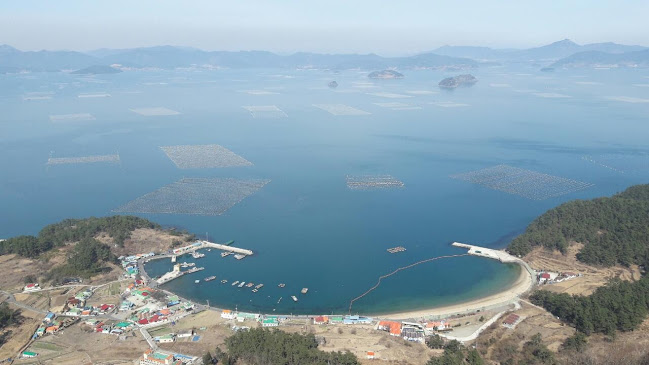 Comentarii opinii despre 중부청과시장