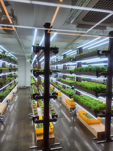 Comentarii opinii despre 살라트&올되다