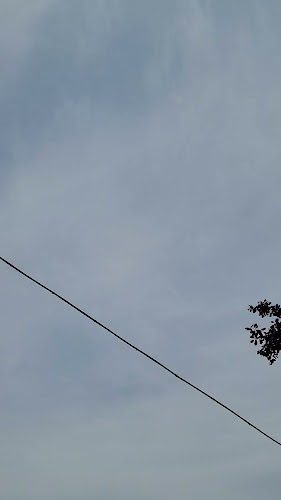 소담행 - 외식업