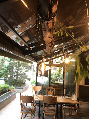 Comentarii opinii despre 델로쉐프