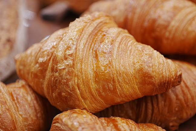 오산드빛 - 외식업