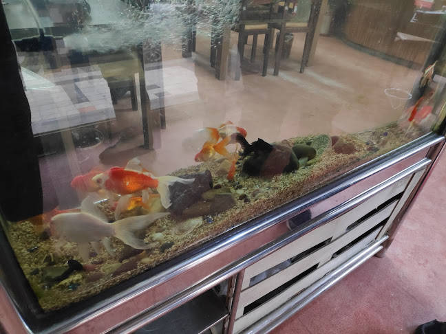 홍영장 - 외식업