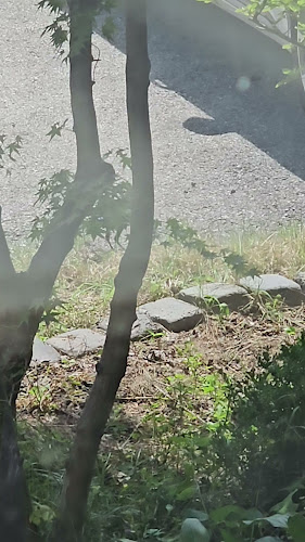 월페이퍼(wall paper) - 외식업