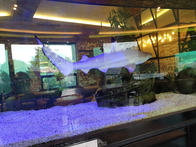 경기도 성남시 분당구 새마을로 107