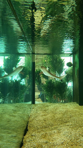 브레드 팩토리 망캄 율동점 - 성남시