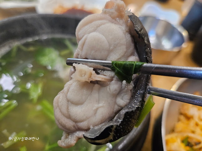 경상남도 사천시 사천읍 수석리 281-11