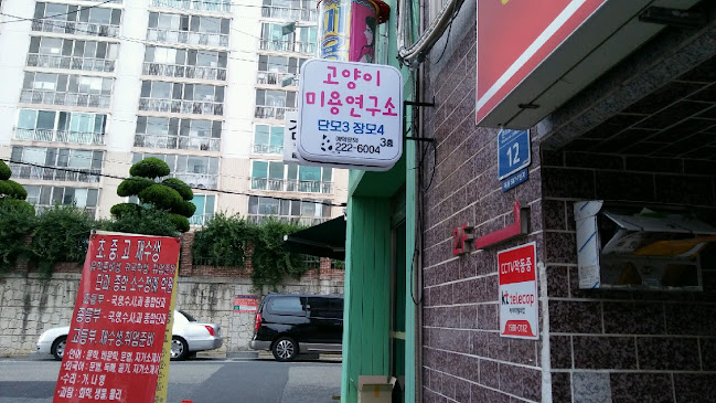 고양이미용연구소