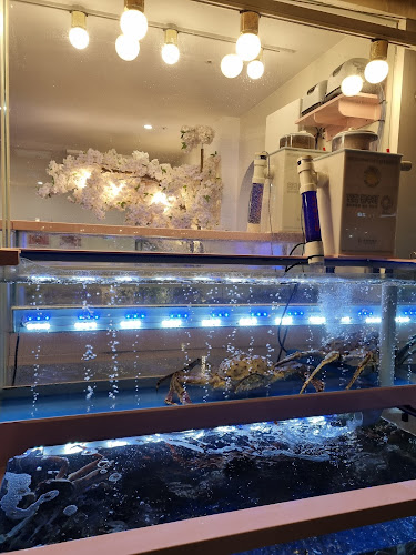 Opinii despre 어서오시게 평촌점 în 안양시 - 외식업