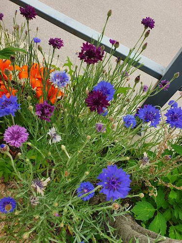 피렌체로스터리카페 - 외식업