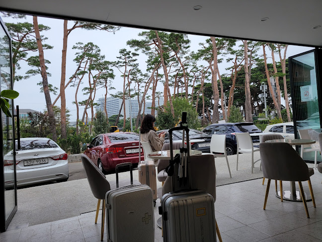 Opinii despre 초당찰떡 în 강릉시 - 외식업