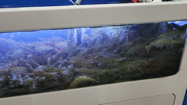 Opinii despre 군산서부어판장 în 군산시 - 외식업