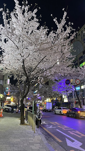 경기도 안양시 동안구 귀인로 190 1층