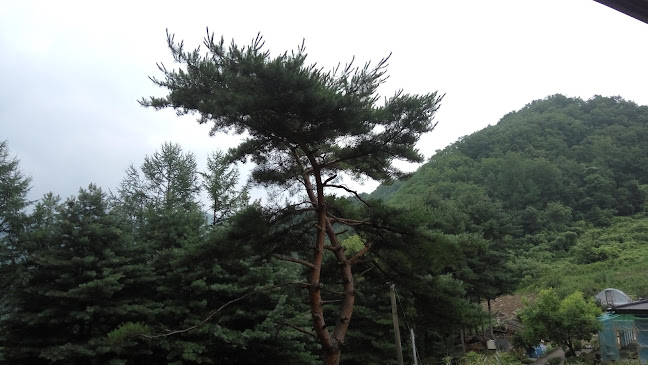 Restaurant - 외식업