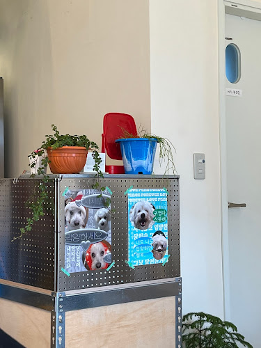 강원특별자치도 속초시 번영로49번길 16