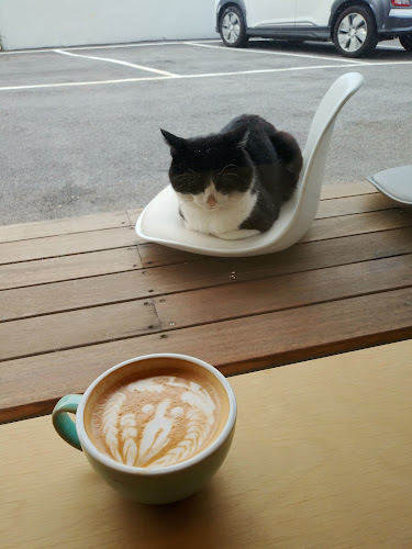 Opinii despre 알엠카페(RM Cafe) în 익산시 - 외식업