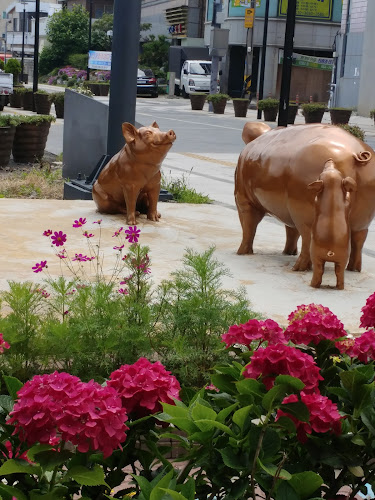 Opinii despre 카페아주르아일랜드 în 제주시 - 외식업