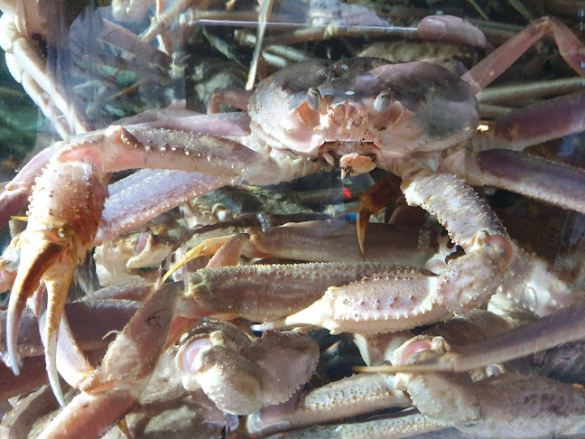 Opinii despre 동명항대게마을 în 속초시 - 외식업