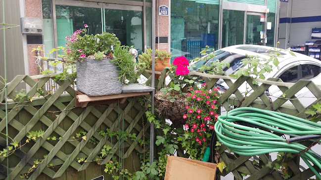 Comentarii opinii despre 저녁마실